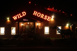 wild-horse-resort-brothel-1